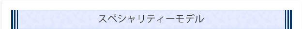 スペシャリティーモデル