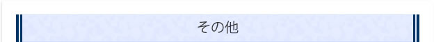 その他